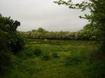 Caherguilllamore, Bruff, Co. Limerick.