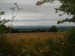 Quitrent, Kildorrery, Co. Cork