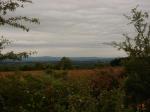 Quitrent, Kildorrery, Co. Cork