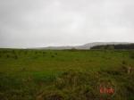 Inchintotane, Newmarket, Co. Cork