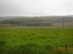 Inchintotane, Newmarket, Co. Cork 